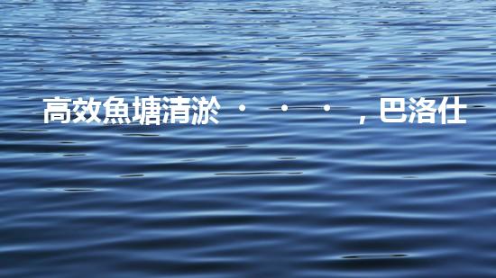 高效魚塘清淤，巴洛仕設(shè)備助力生態(tài)養(yǎng)殖